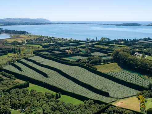 215 Ongare Point Road, Katikati