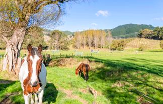 84 Derham Road, Te Horo