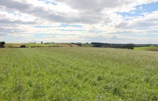  Connells Road, Levels Valley