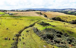 870 Marlborough Road, Aranga