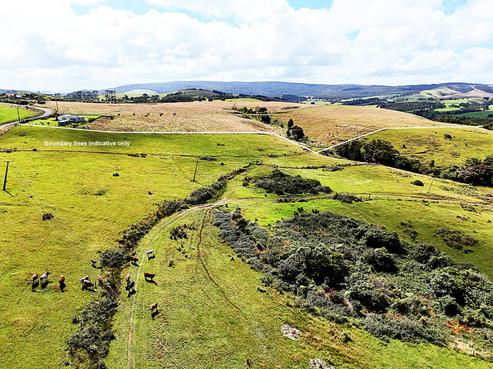 870 Marlborough Road, Dargaville Surrounds