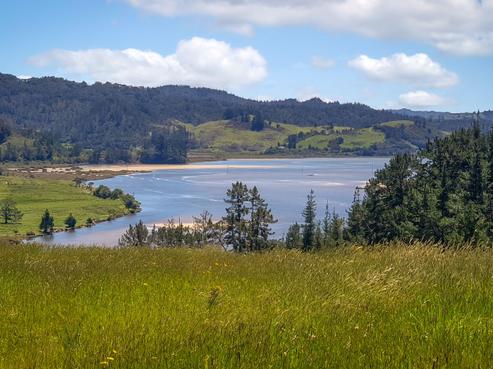 671 Hikuai Settlement Road, Pauanui