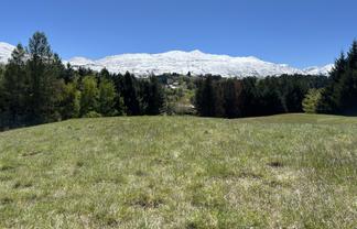 39 Fitzpatrick Road, Dalefield