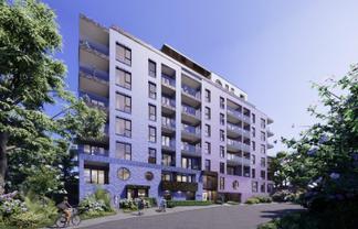  8 Pratt Street, Freemans Bay