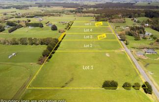 55 McKellar Road, Seaward Bush