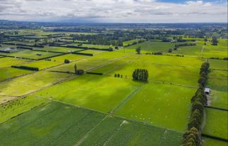 249 Plaskett Road, Fernside