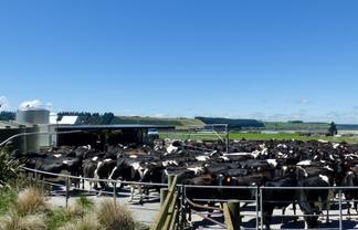 400 Keens Road, Springfield