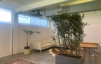 Affordable Natural Light Office