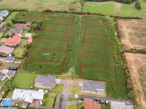 20 Coolen Place, Tuakau