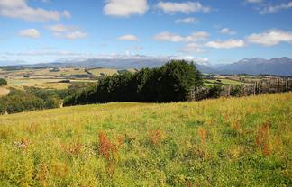 112 Ridgedale Road, Te Anau