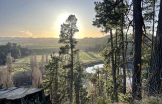 1019 Dartmoor Road, Puketapu