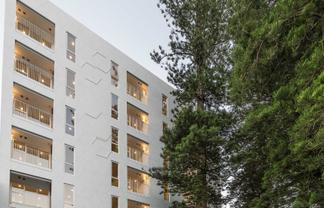 305/11 Akepiro Street, Mount Eden