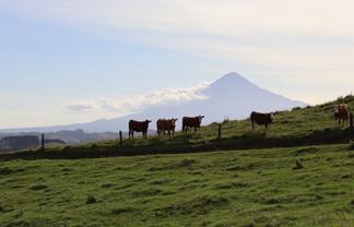 102 Manu Road, Te Popo