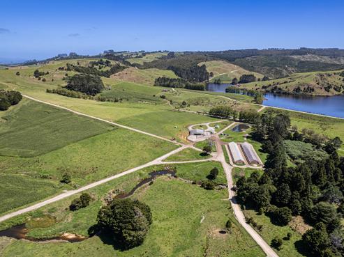 731 Puhipuhi Road, Whakapara