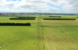 401 Spar Bush School Road, Spar Bush