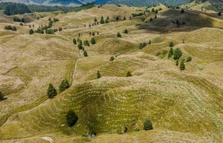  484 Mangapapa Road, Stratford