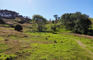 127 Ngapuke Road, Kaukapakapa