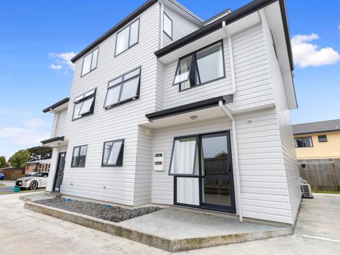 24B Hogan Street, Hamilton East