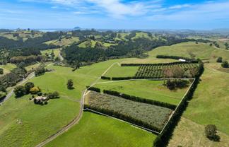 449 Crawford Road, Te Puna