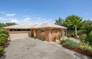 11 Ward Street, Springlands