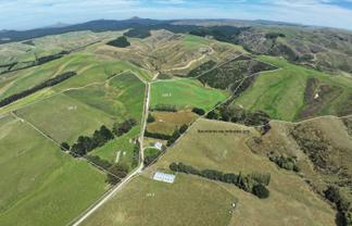 58 McElwee Road, Meadowbank, Palmerston