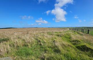 44.5ha Grazing or Lifestyle Block, Near the Coast