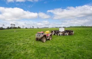 128 Rapurapu Road, Te Poi, Matamata