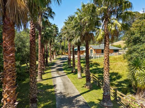 58 Haigh Access Road, Redvale