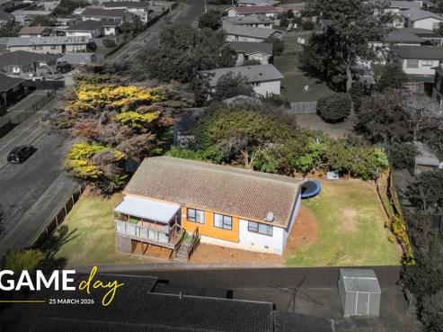 48 Darnell Crescent, Clover Park