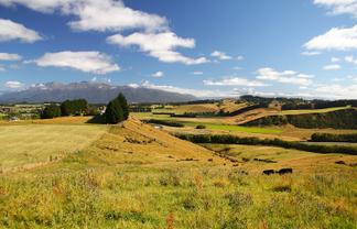 93 Ridgedale Road, Te Anau