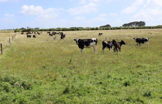 3979 South Road, Opunake