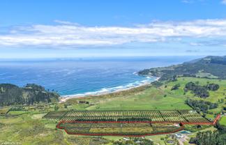 25 Orua Lane, Whenuakite