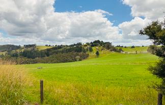 706 Pakaru Road, Kawakawa