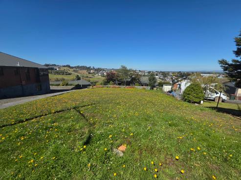 13 Matai Place, Balclutha