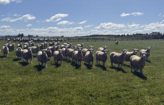 166 Brand Road, Kennington