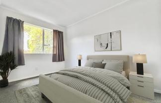 12 Mount Pleasant Road, Aro Valley