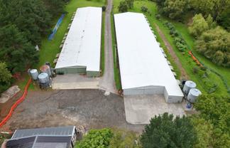 BIG, CHEAP, AND GOOD - RARE LOW-STUD WAREHOUSE
