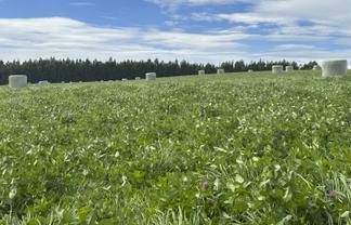 715 Cross Road, Dacre