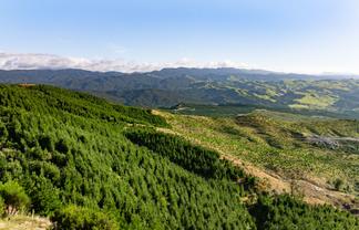 2526 Putere Road, Putere