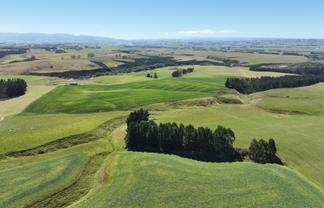 675 Black Bridge Road, Ashley Downs