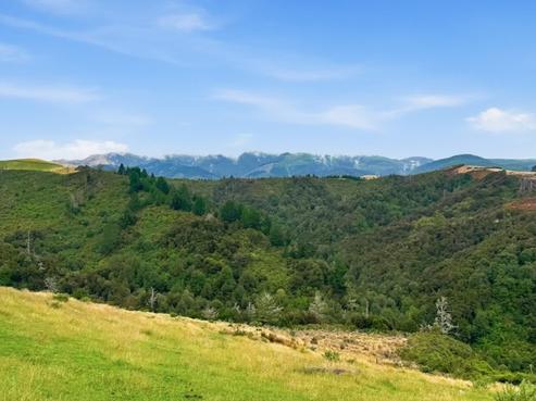 520 Traceys Road, Loburn