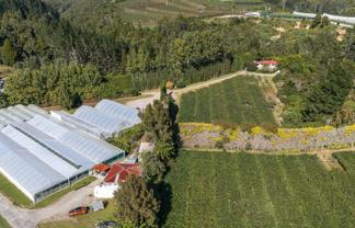 1164 No 3 Road, Te Puke