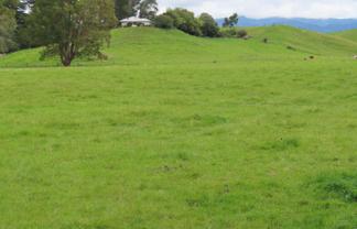 61 Church Road, Dannevirke