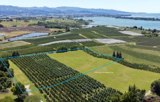 Lot 1/86 Eden Road, Tasman