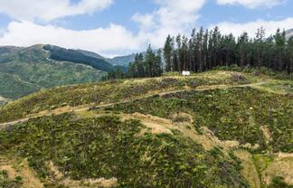 Lot 17/355 Pretoria Road, Shannon