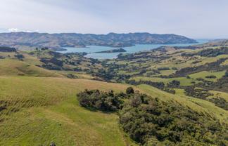 175 Barrys Bay Valley Road, Duvauchelle