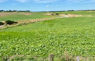 135 Orr Road, Waimatua