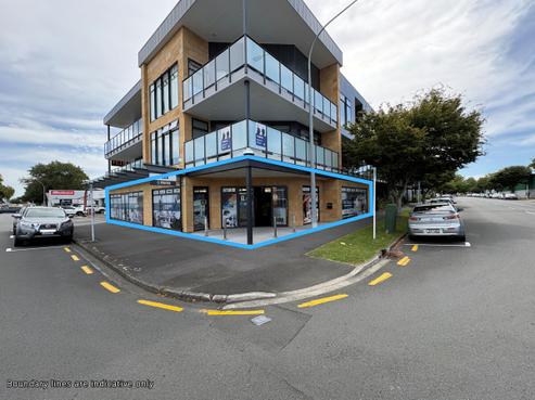 118 Rostrevor Street, Hamilton Central
