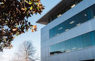 Takapuna Show Stopper