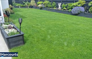 Where the Grass is always Greener